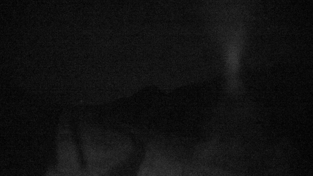 47h ago - 02:15
