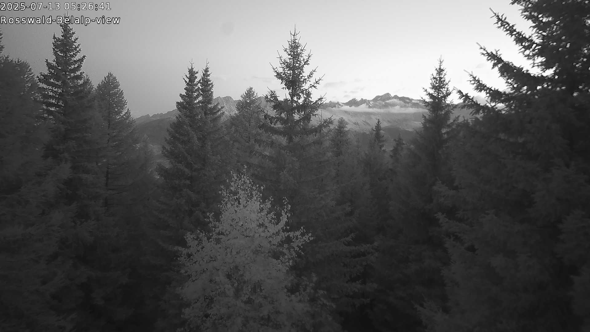 3h ago - 05:31