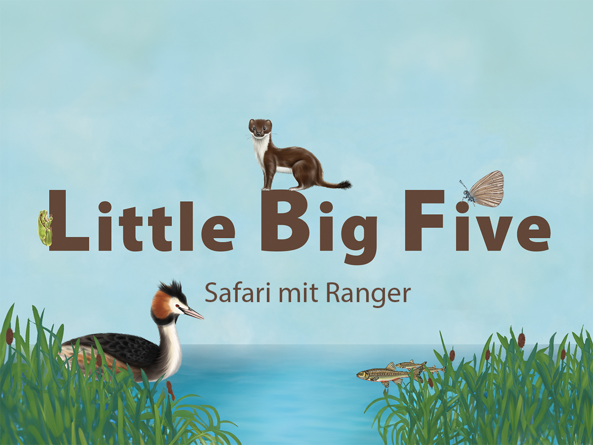 «Little Big Five»-Safari mit Ranger