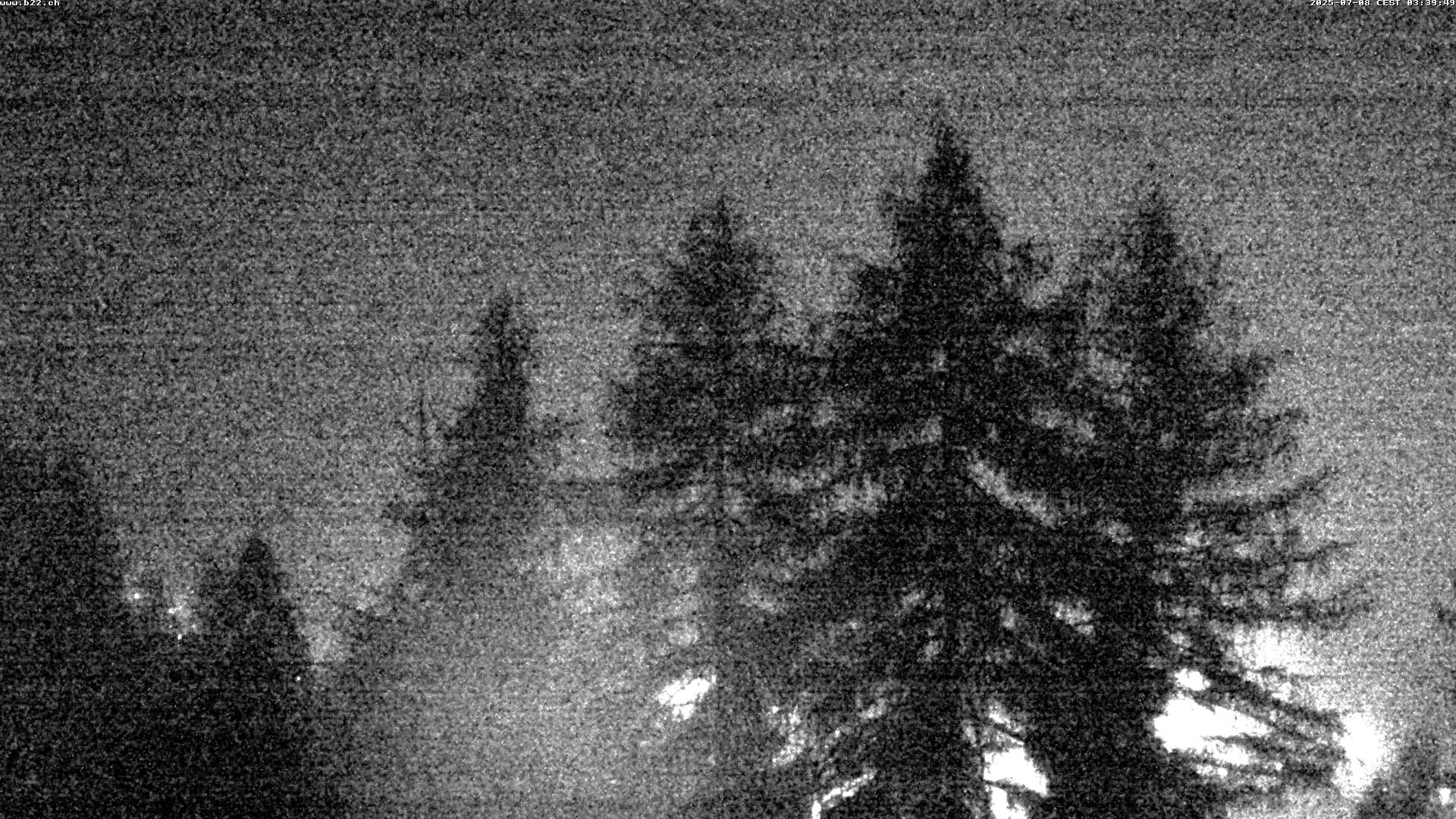 32h ago - 03:38