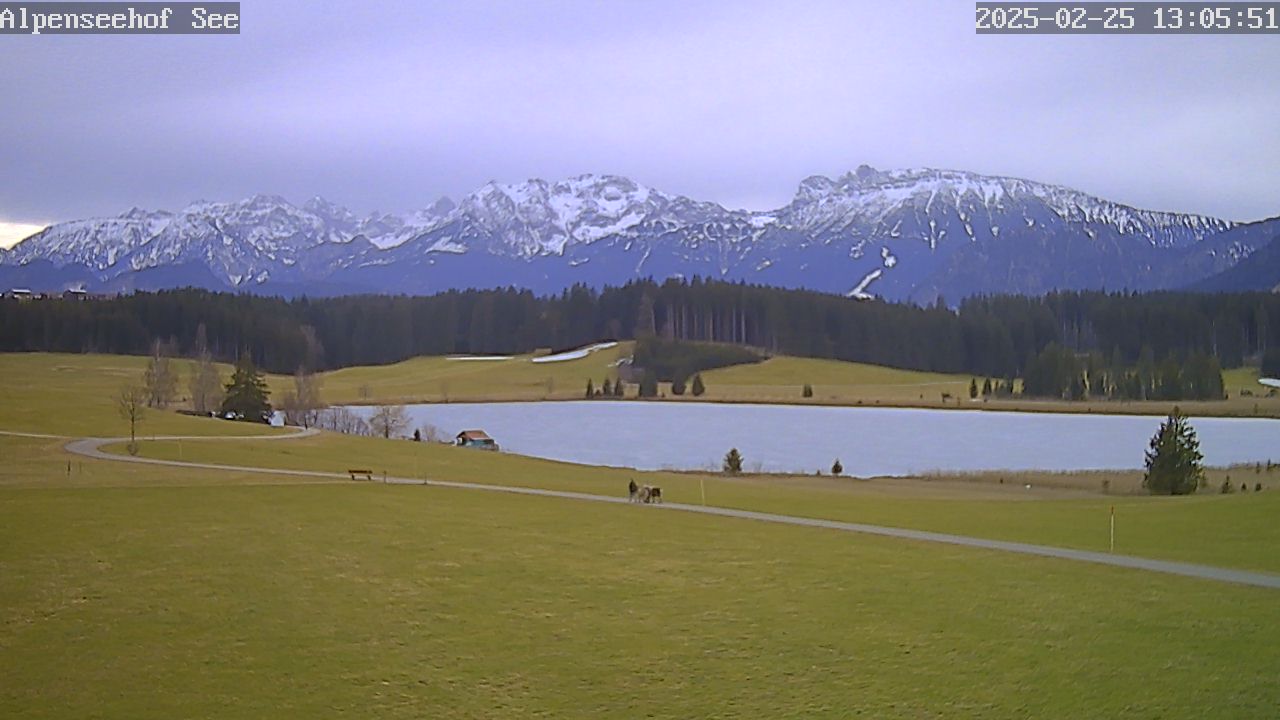 25.02.2025 12:05