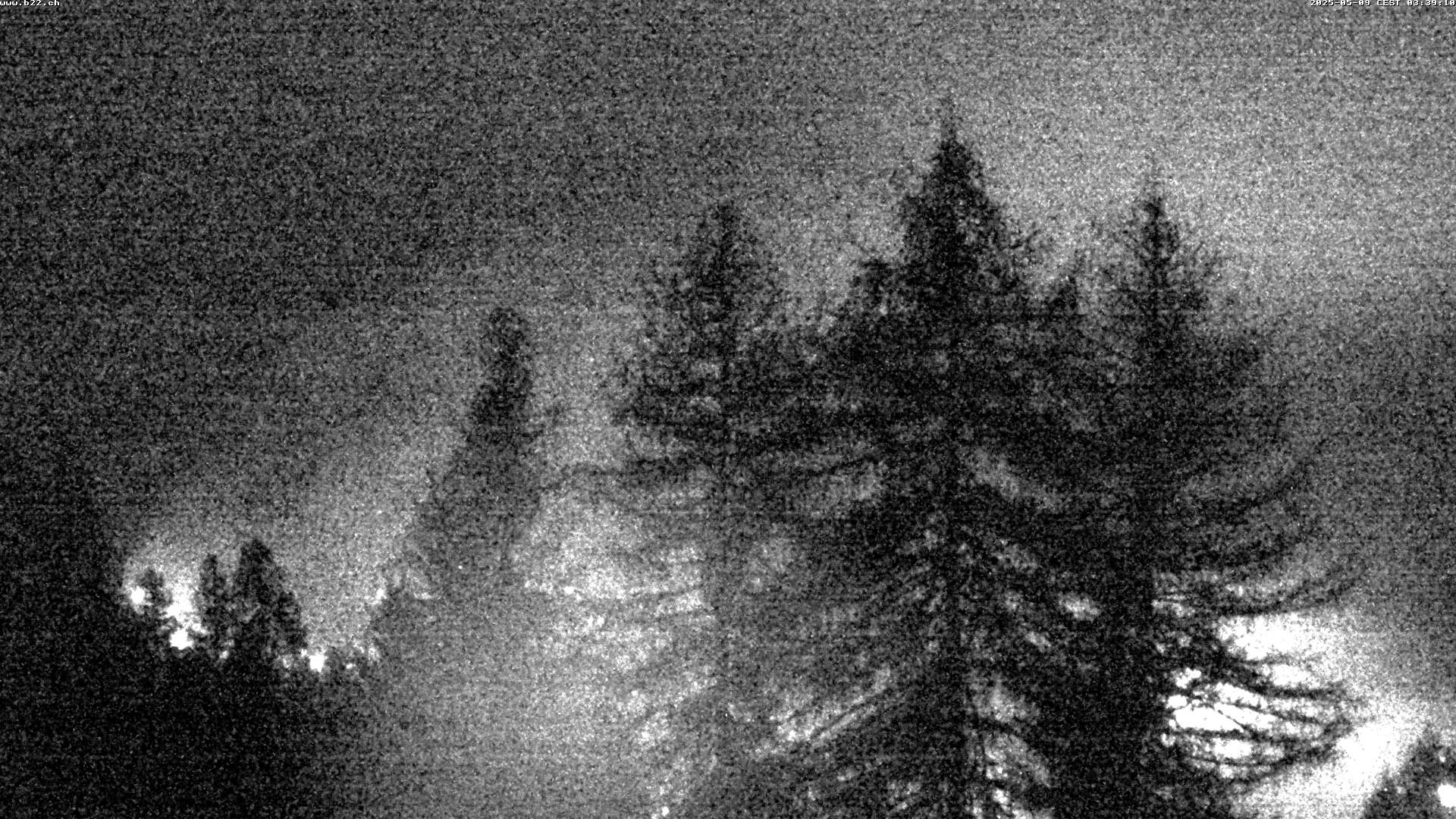 4h ago - 03:38