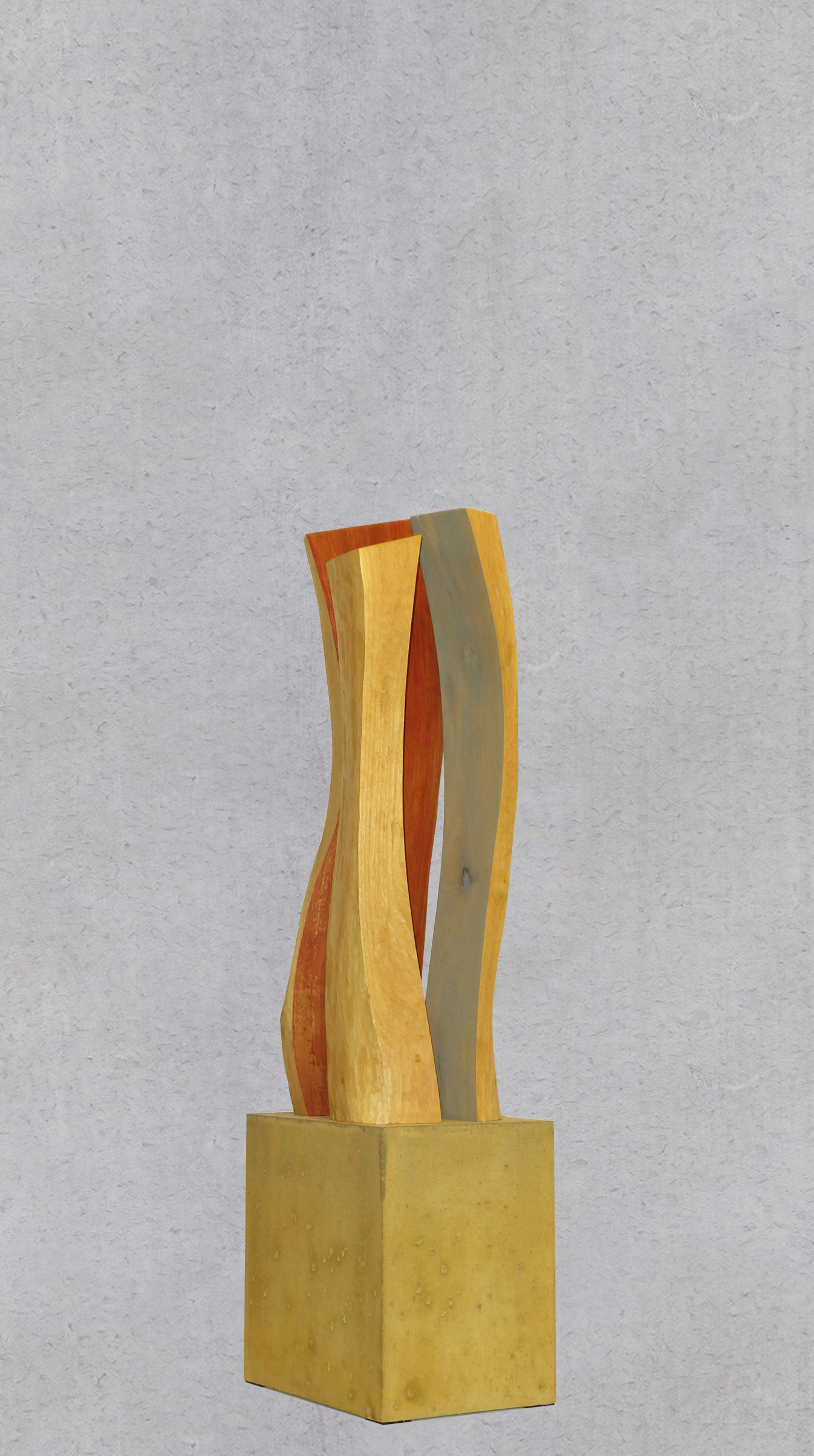 Robinie_11 / Höhe 89 cm