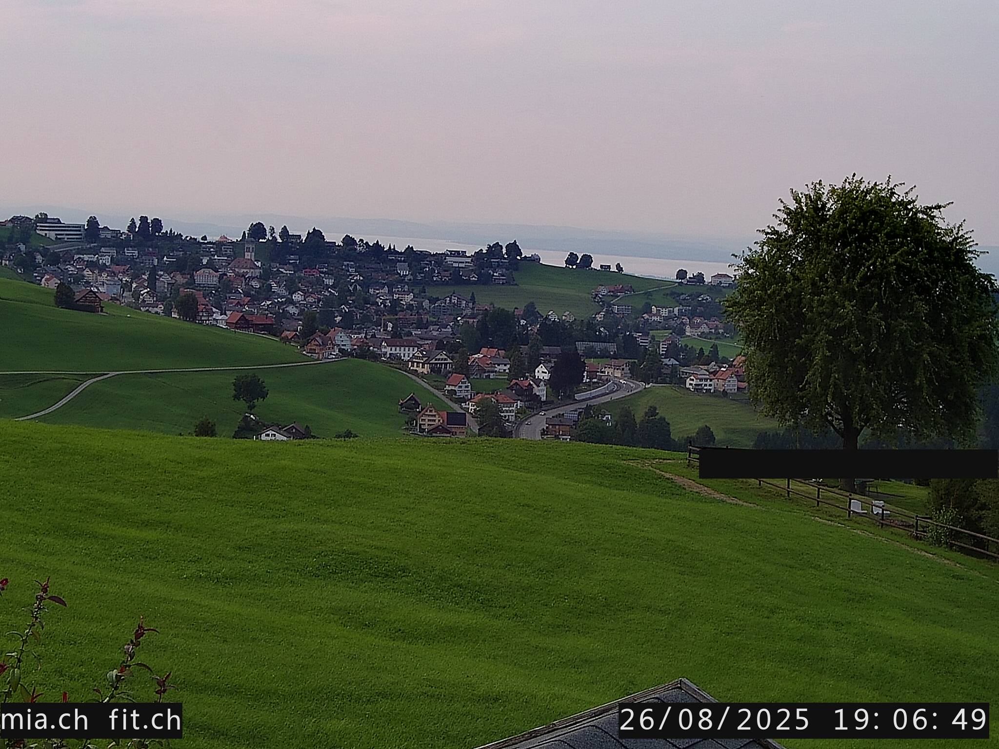 8h ago - 19:06