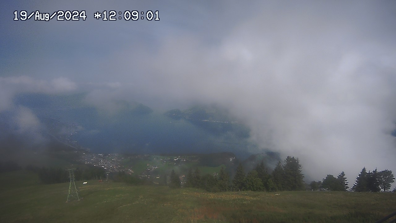 19.08.2024 12:01