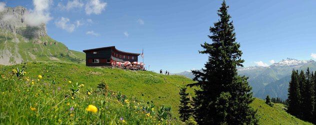 Ortstockhaus im Sommer