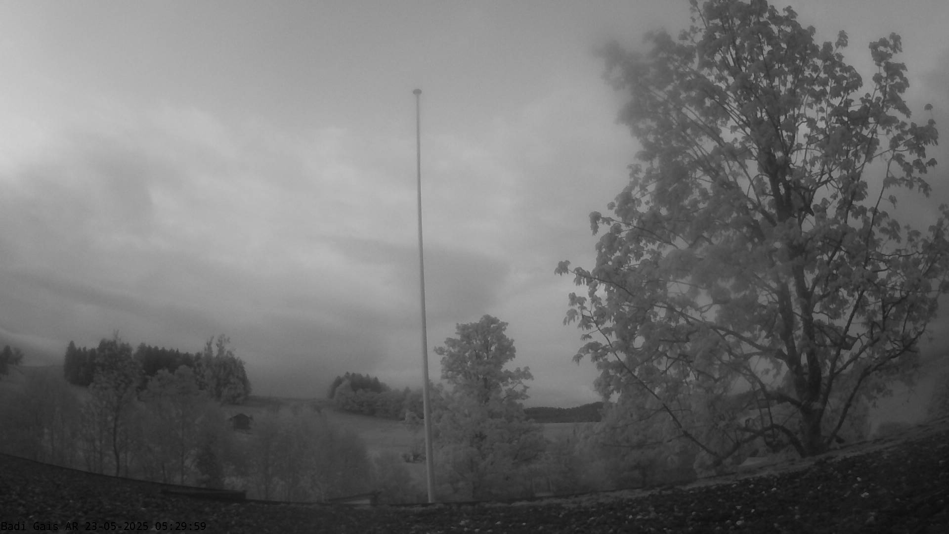 38h ago - 05:30