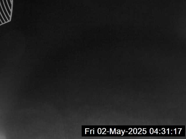 4h ago - 04:31