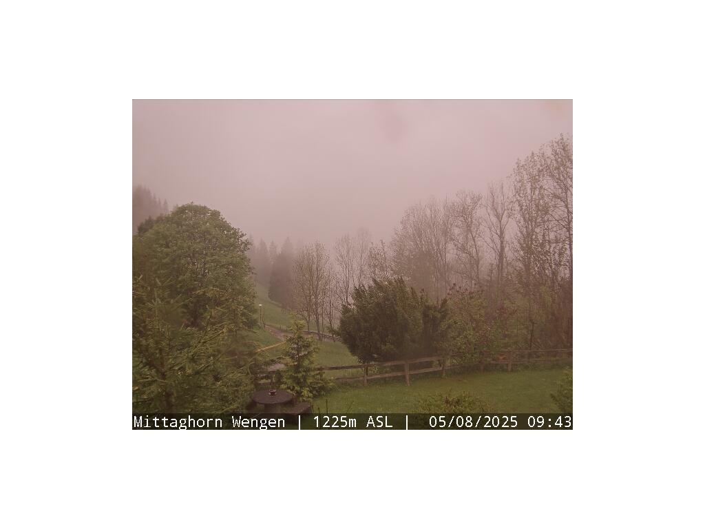42h ago - 11:13