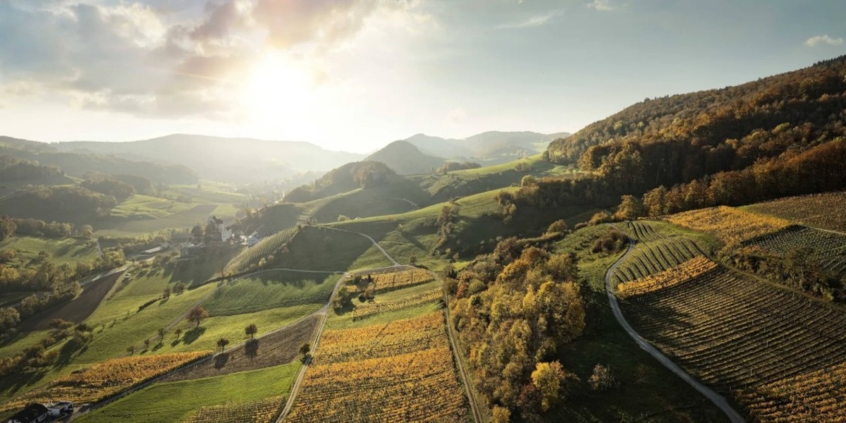 Titelbild des Events: Degustation «Aargauer Weinmomente»