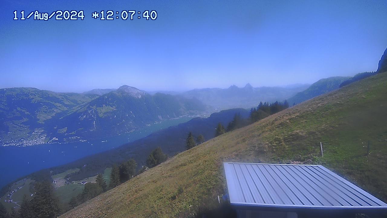 11.08.2024 12:01