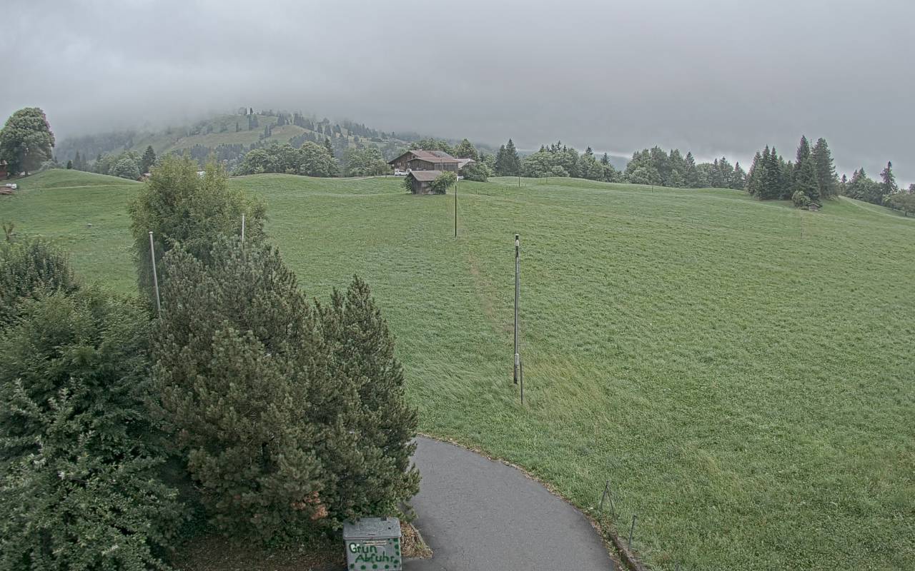 42h ago - 17:25