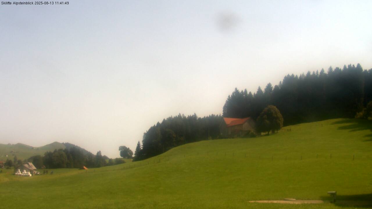 35h ago - 11:42