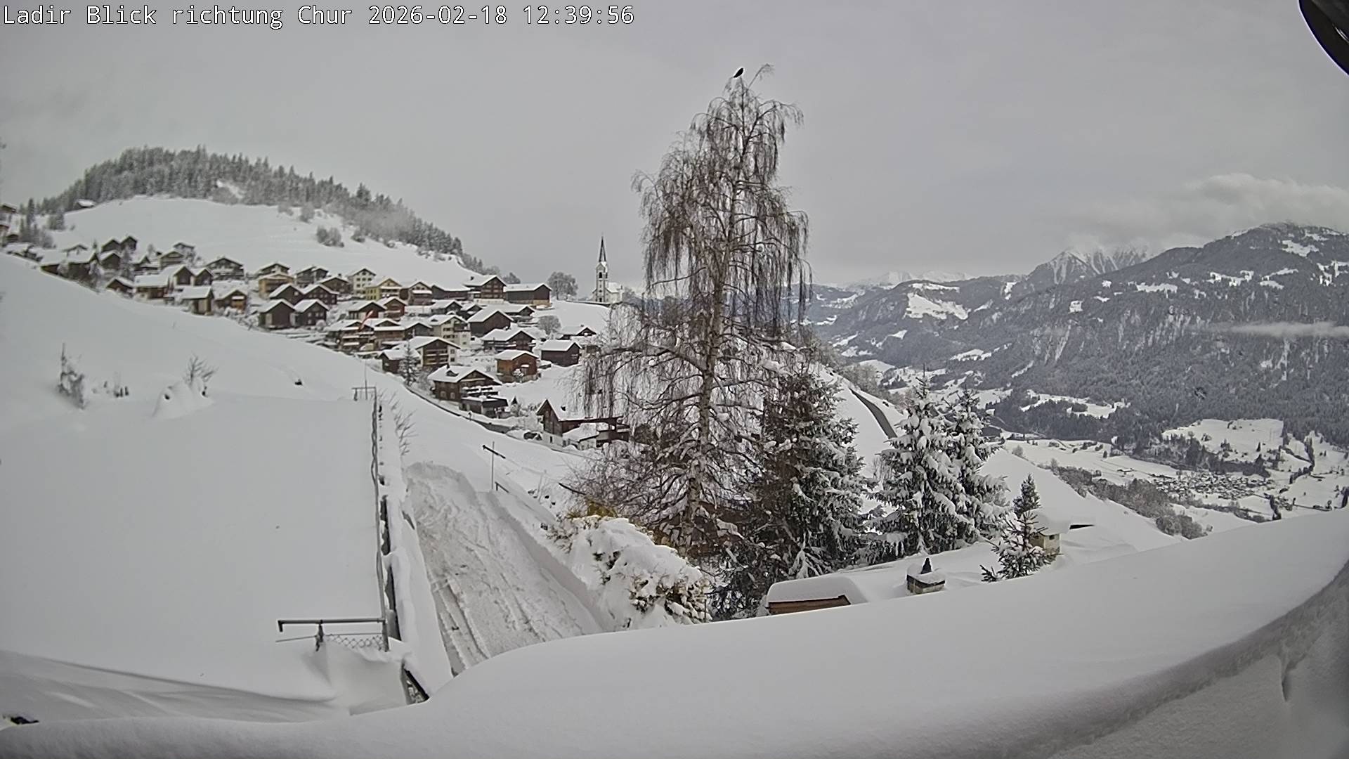 18.02.2026 12:40