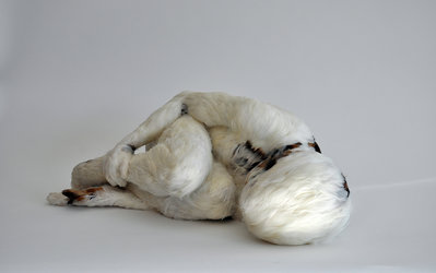 Lucy Glendinning: «Feather Child 1», 2011 / © Lucy Glendinning
