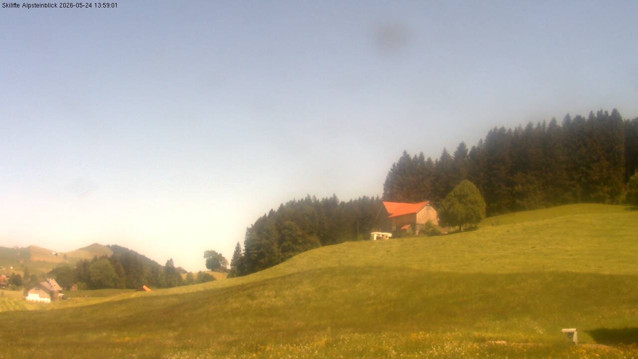 4h ago - 13:49