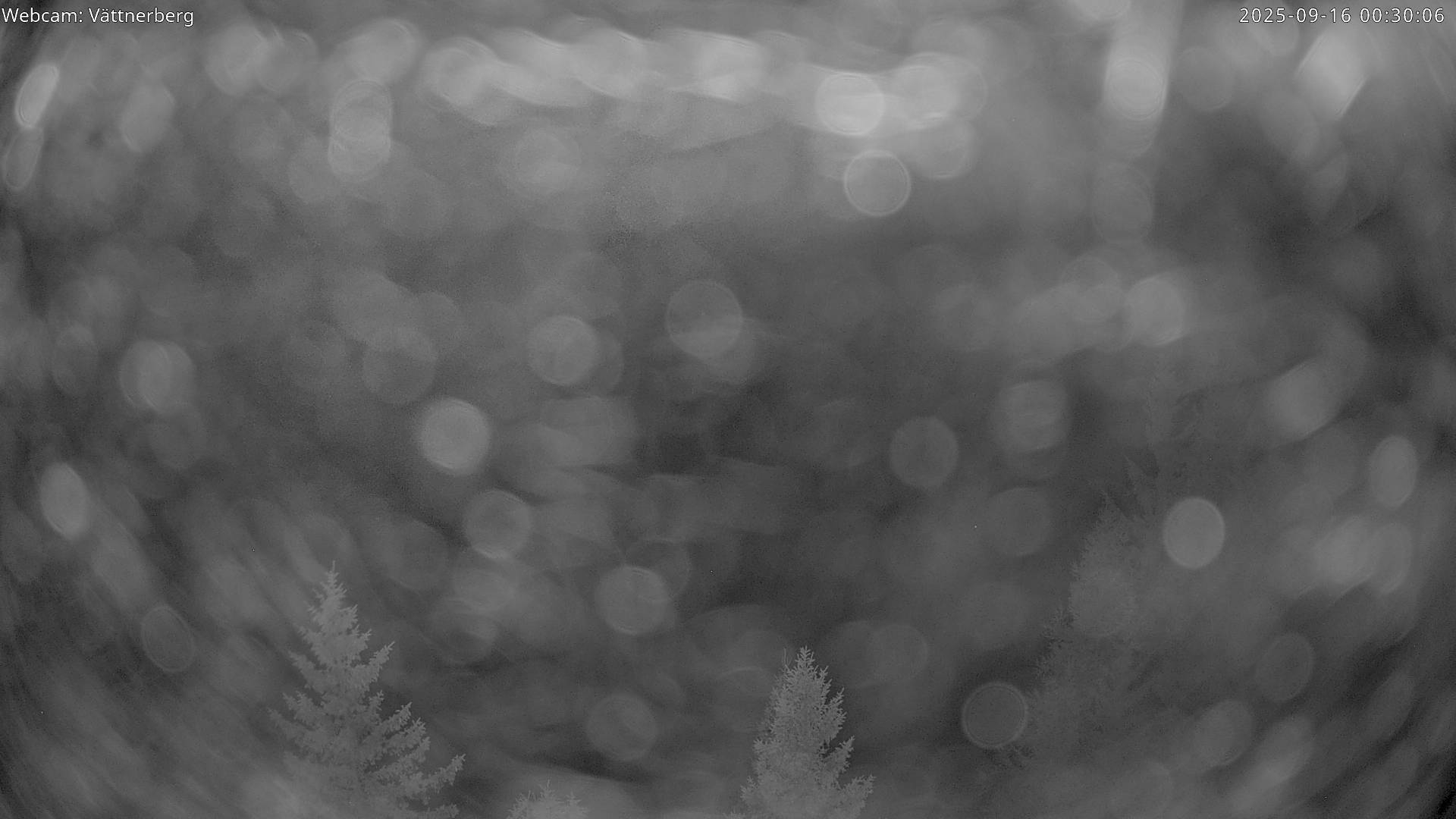 20h ago - 00:40