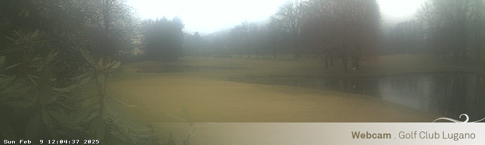 09.02.2025 12:04