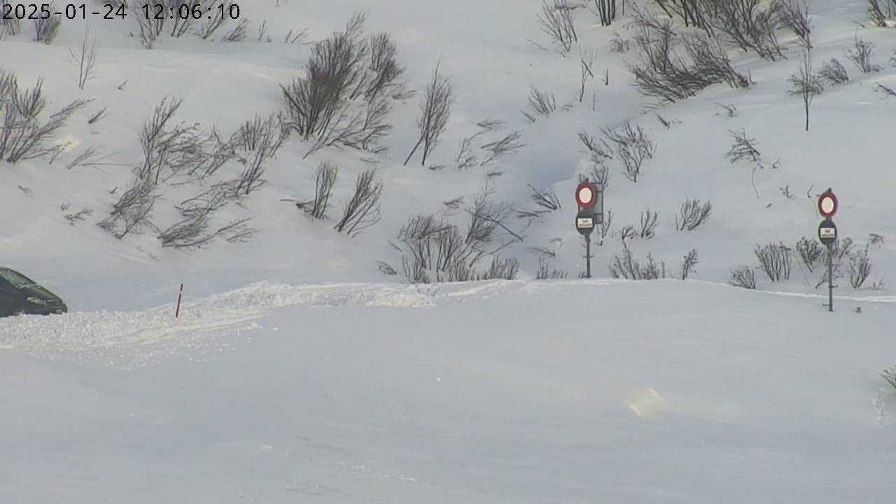 24.01.2025 12:06