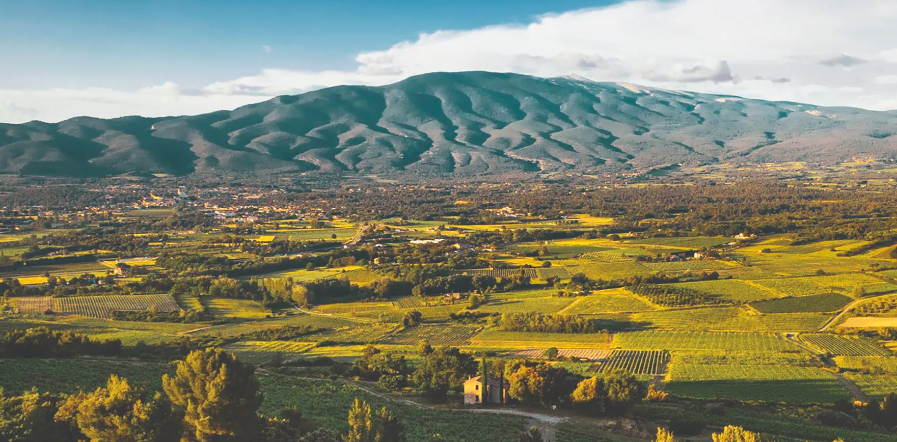 Titelbild des Events: Schatzkammer-Degustation «Gereifte Rhône-Legenden»