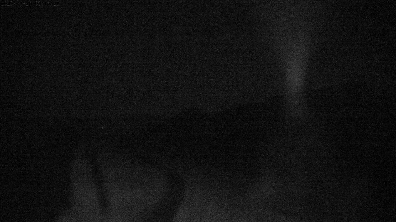 22h ago - 03:16