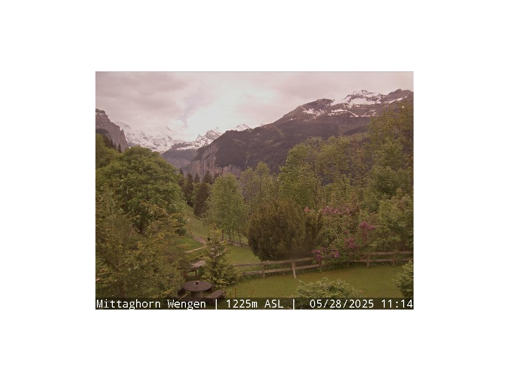 19h ago - 12:46