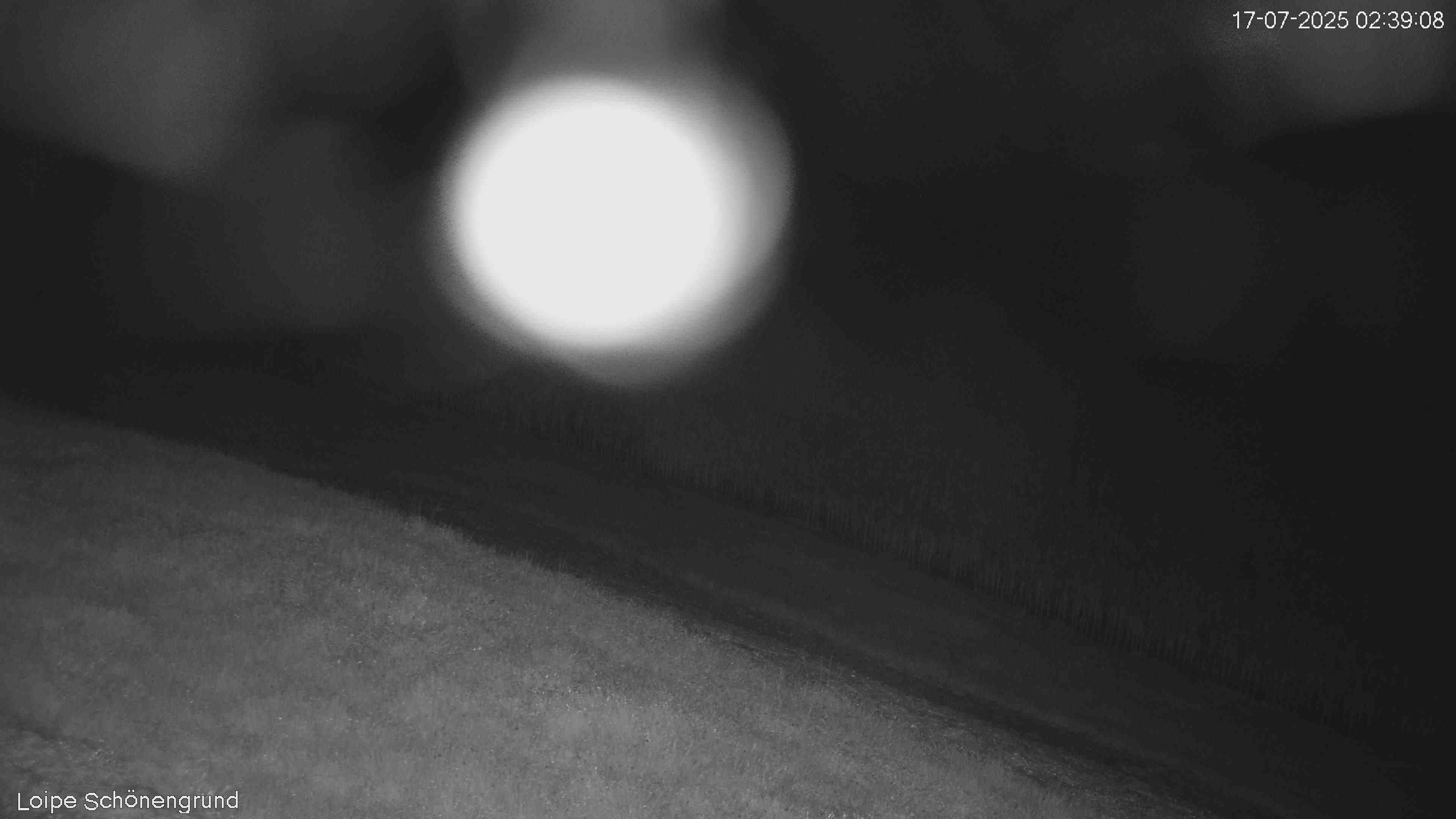 36h ago - 02:39