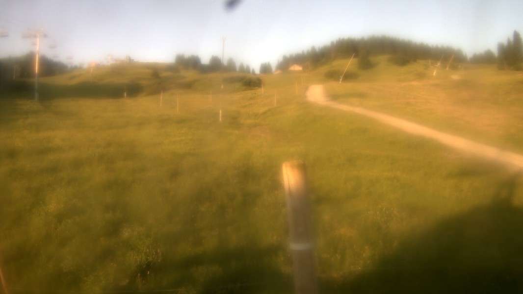 24h ago - 06:31