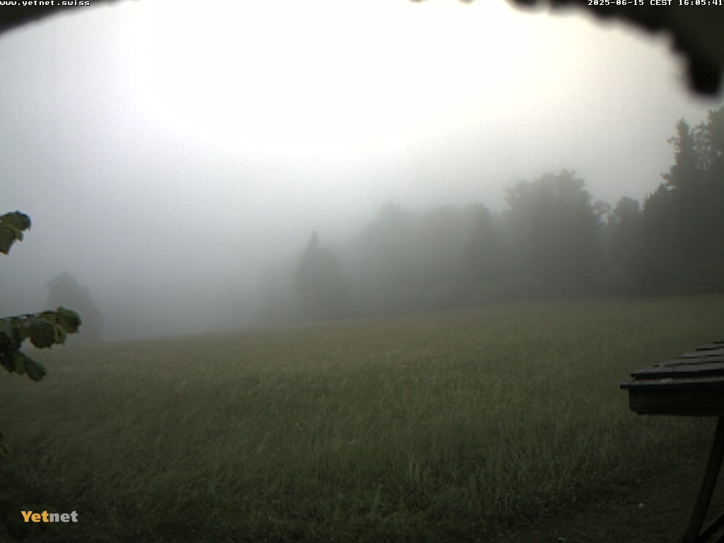 18h ago - 16:05
