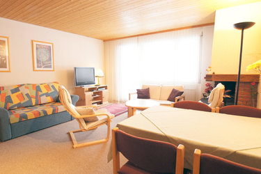 Wohnzimmer mit Kamin und TV