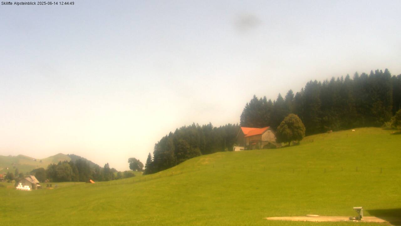 13h ago - 12:45