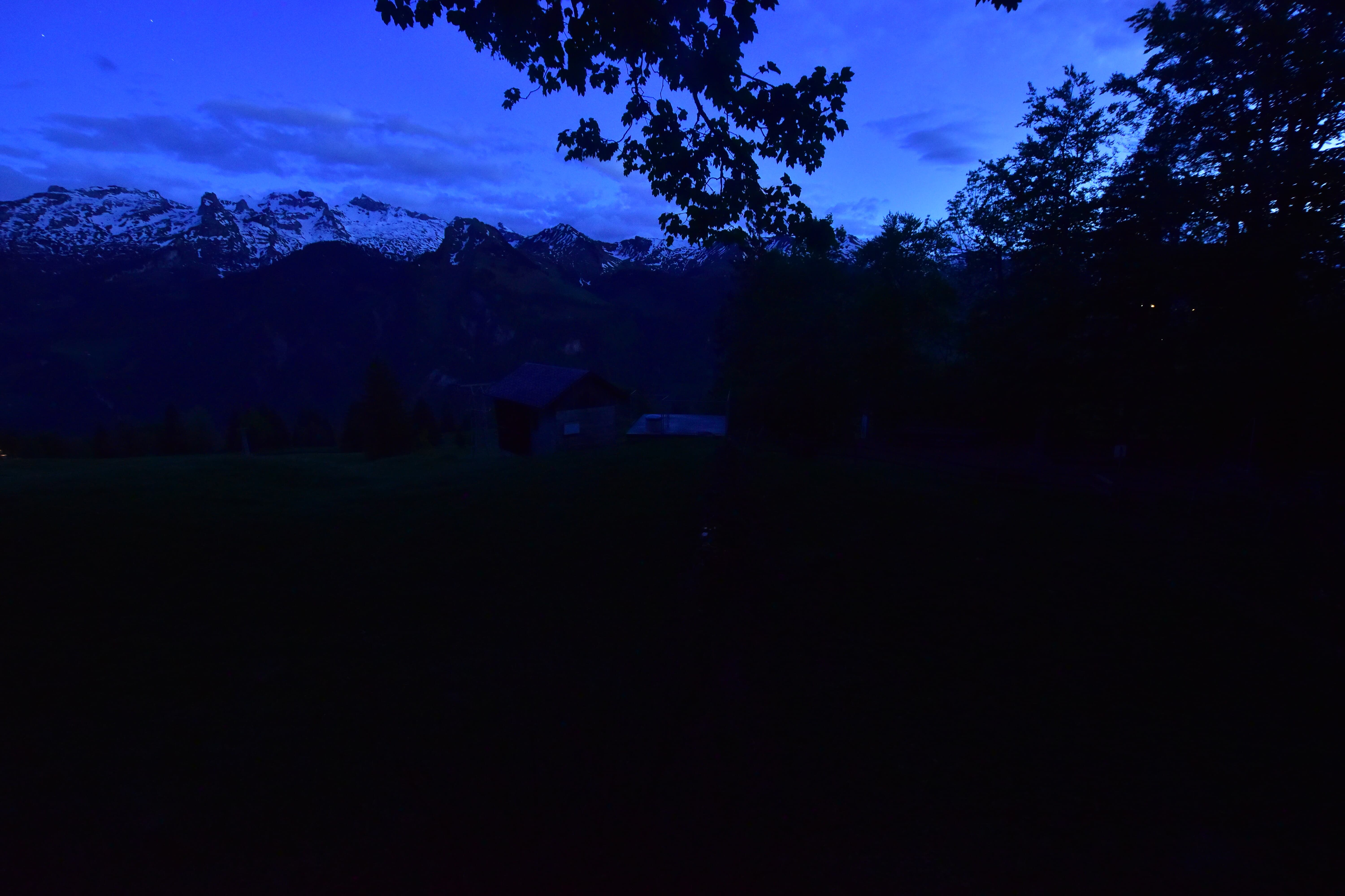 21h ago - 21:31