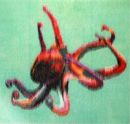 Octopus