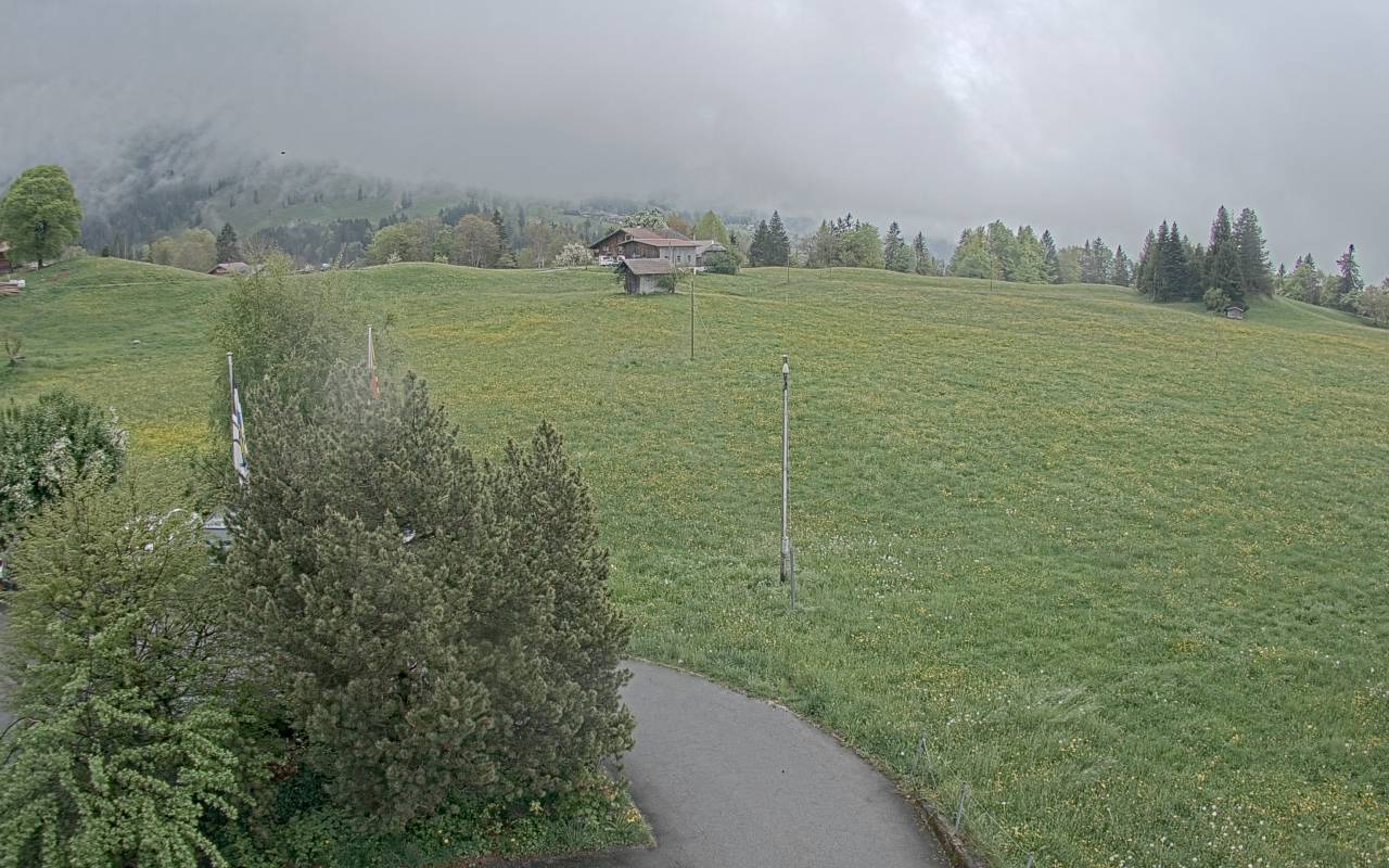 15h ago - 16:25