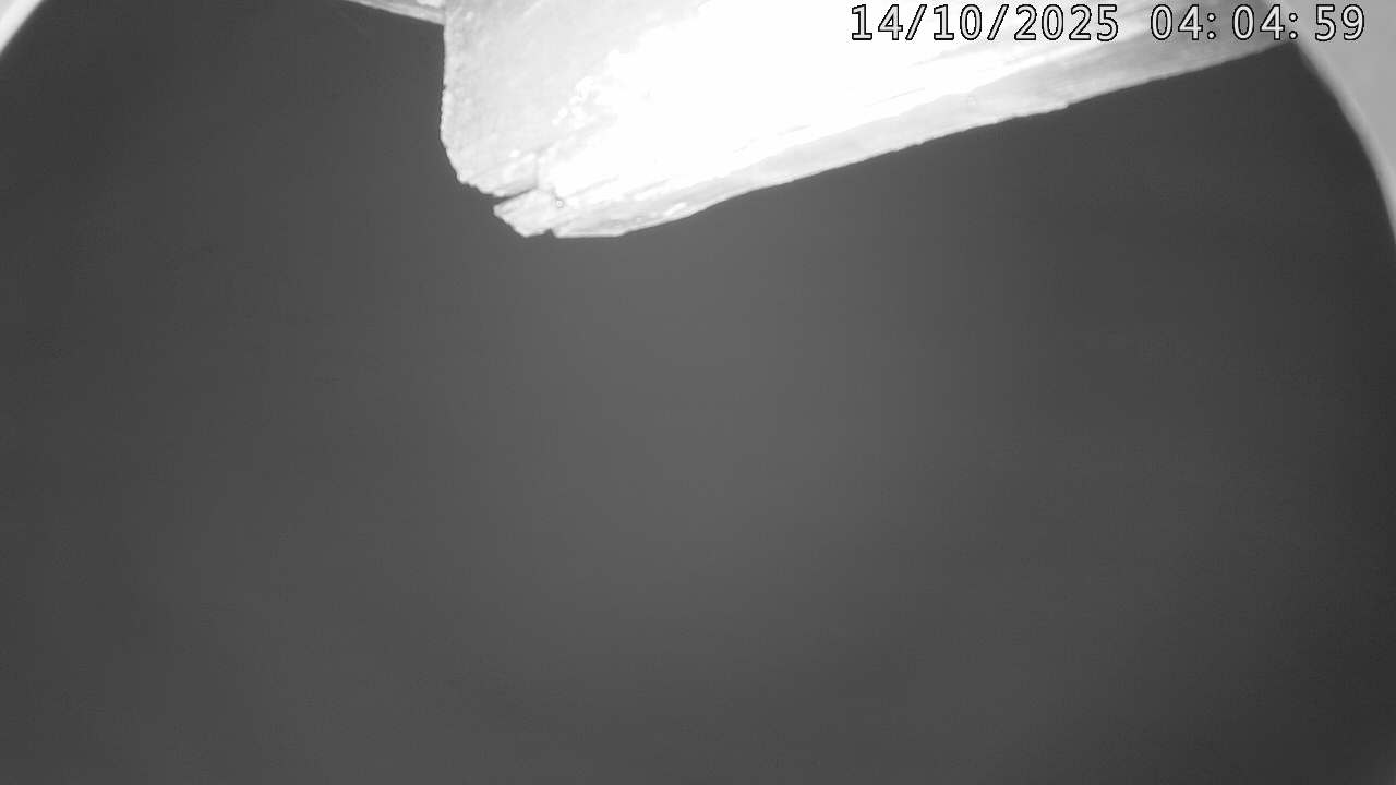 18h ago - 04:05
