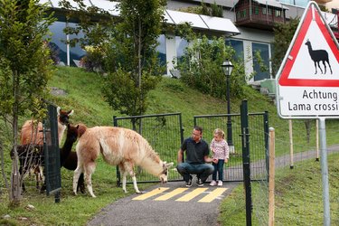 www.maerchenhotel.ch