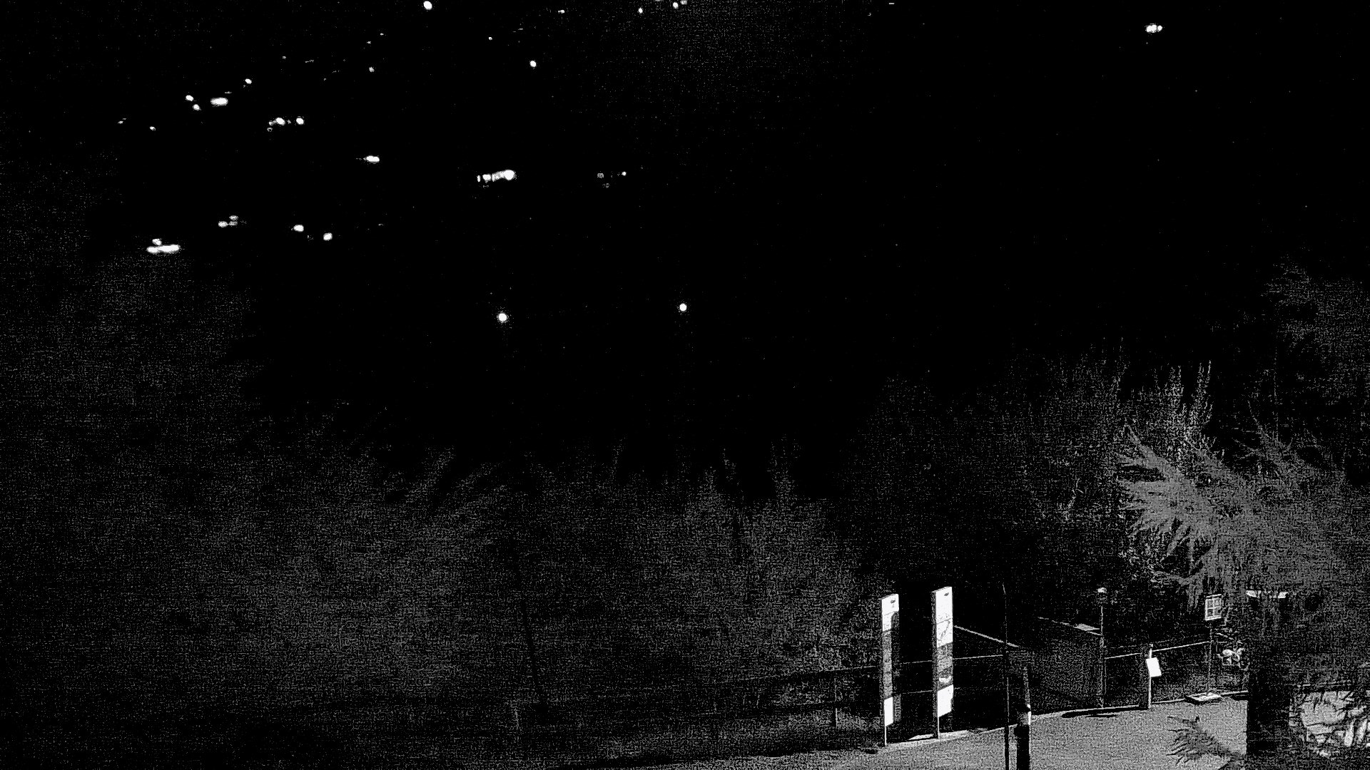 33h ago - 23:10
