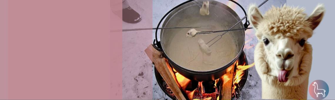 Titelbild des Events: Fondue inmitten Alpakas - Bergdietikon bei Zürich