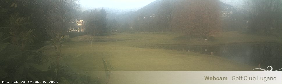 24.02.2025 12:06