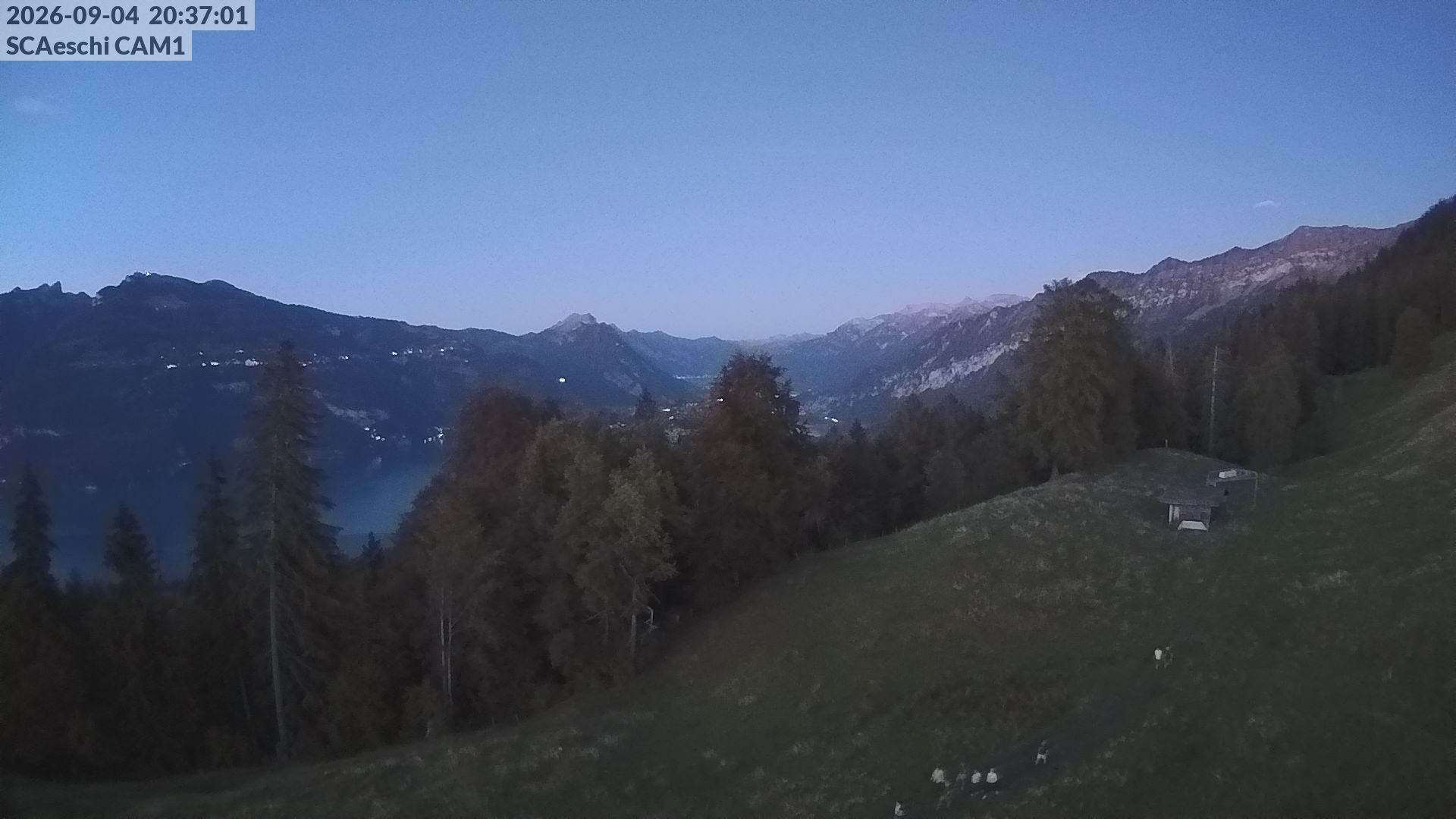 12h ago - 20:37