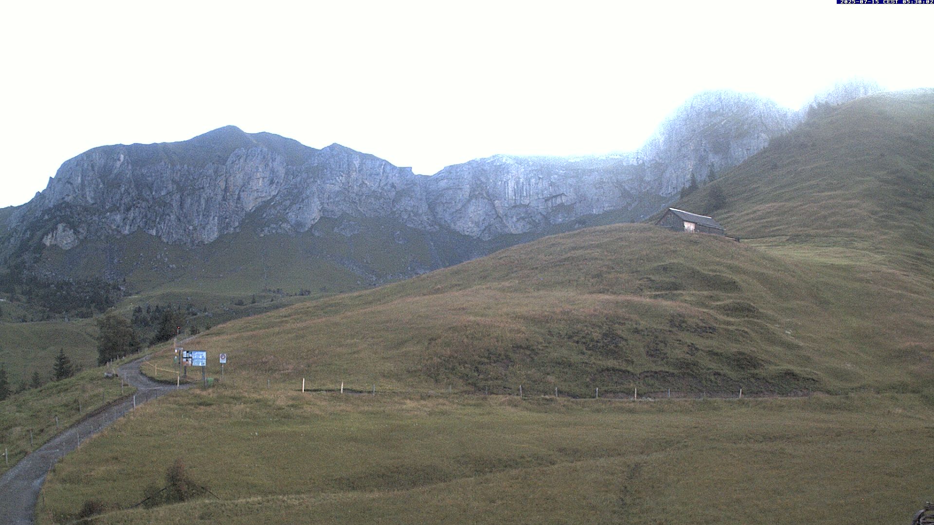 31h ago - 05:30