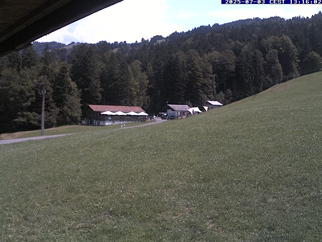 20h ago - 13:16