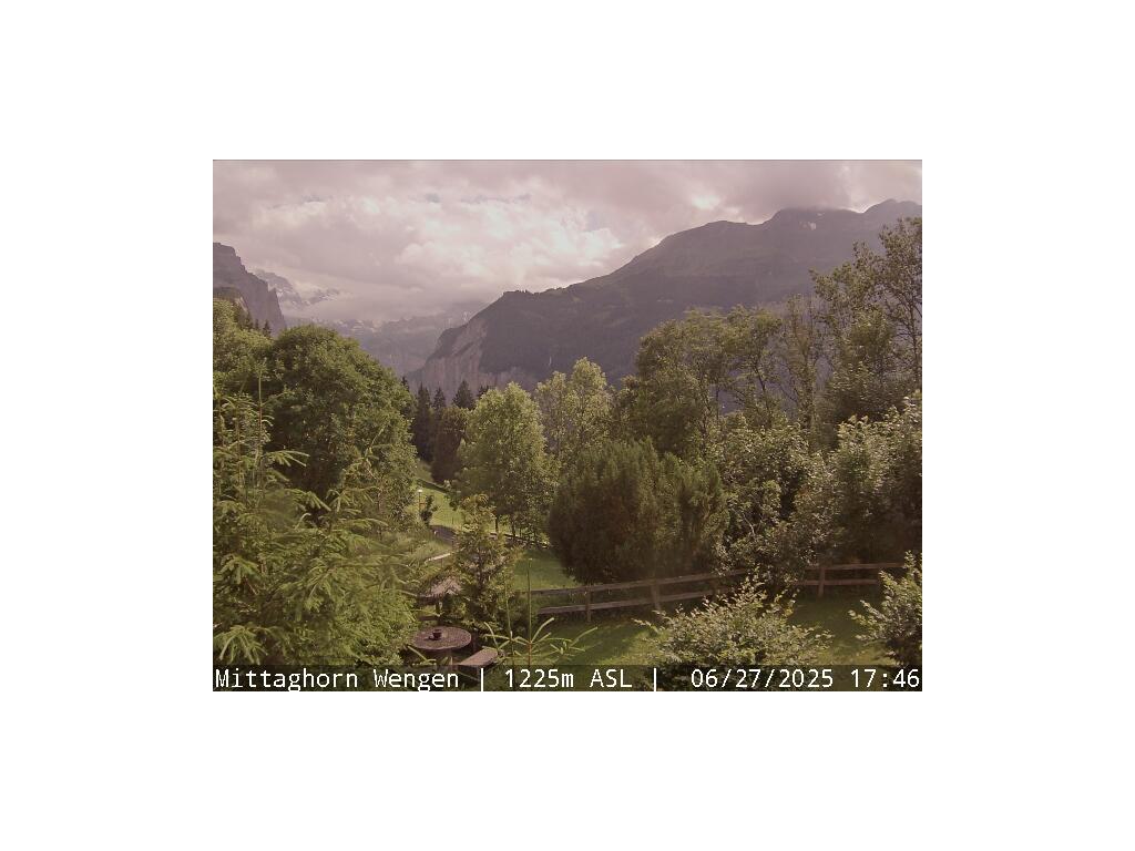 11h ago - 19:16
