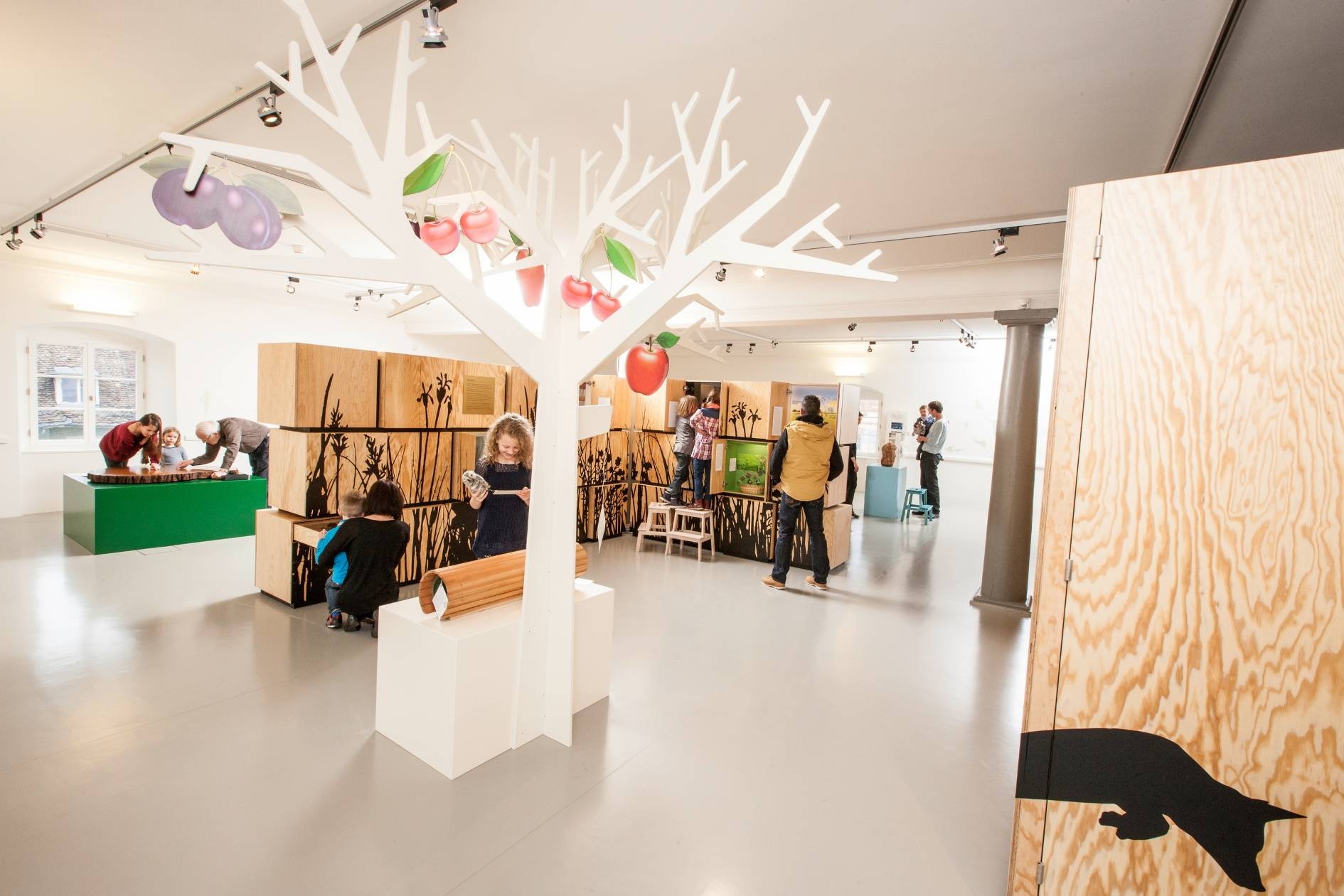 Wildes Baselbiet. Tieren und Pflanzen auf der Spur