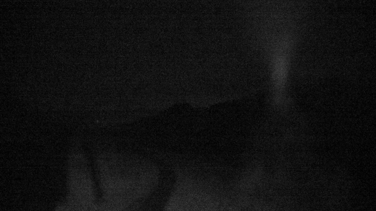 27h ago - 22:40