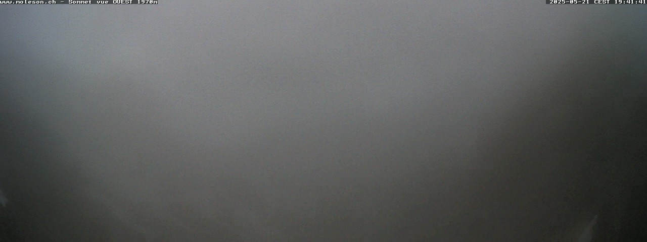 9h ago - 19:41