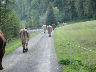 Adelbach-Hof - 1