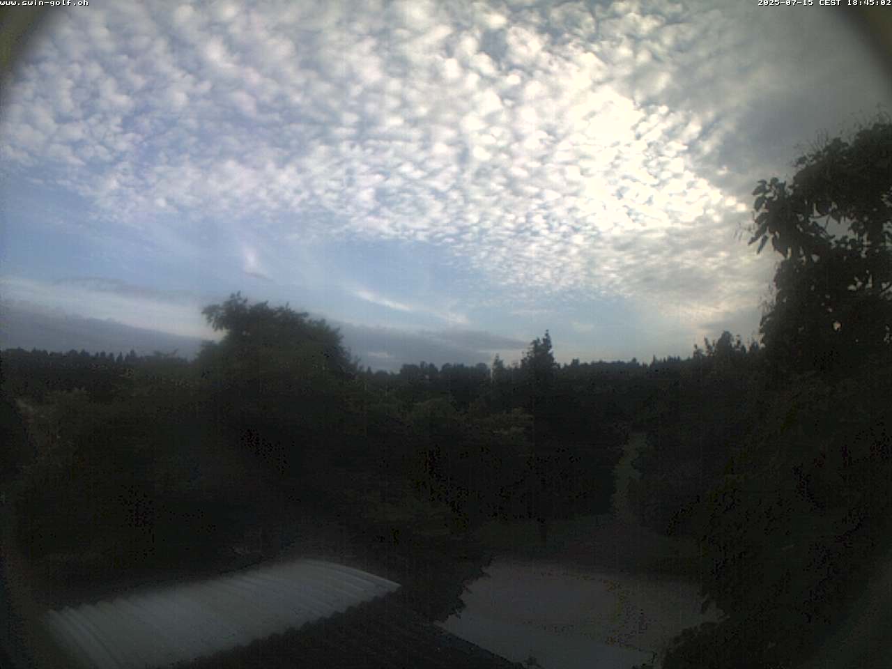 14h ago - 19:43