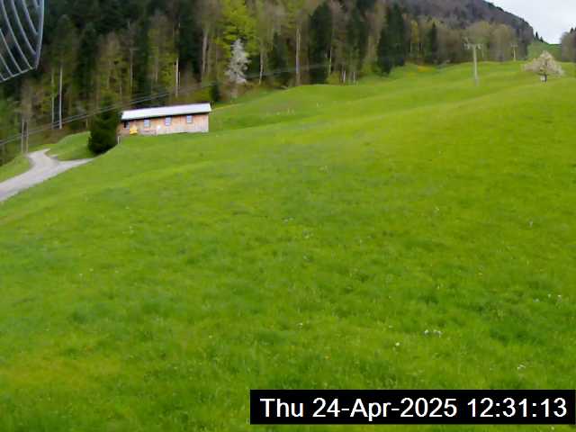 24.04.2025 12:31
