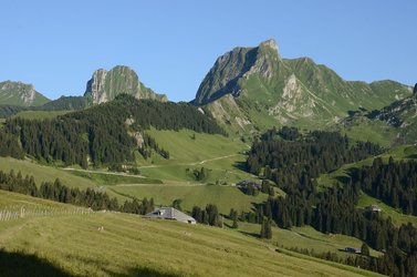 Infozentrum Naturpark Gantrisch - 1